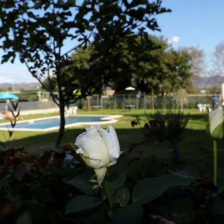 Parcoverdepino באסטיה אומברה