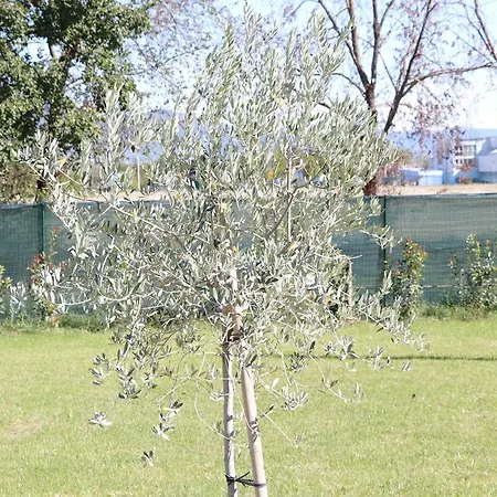 Parcoverdepino Gæstehus